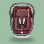 Maxi-Cosi Coral 360 Car Seat - Maxi-Cosi UAE
