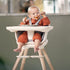 Maxi-Cosi Moa High Chair - Maxi-Cosi UAE